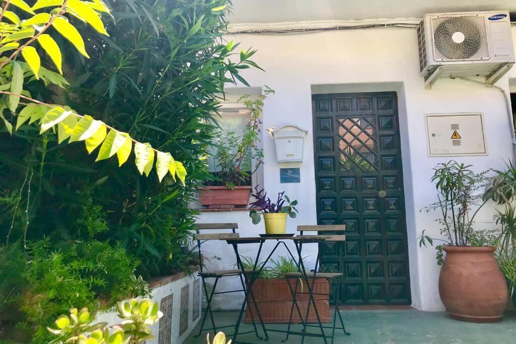 Tgh Acogedor Loft En Malaga Daire Dış mekan fotoğraf